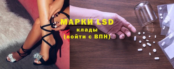 ешки Аркадак