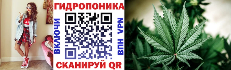 МАРИХУАНА сатива  omg ONION  Судак  закладка 